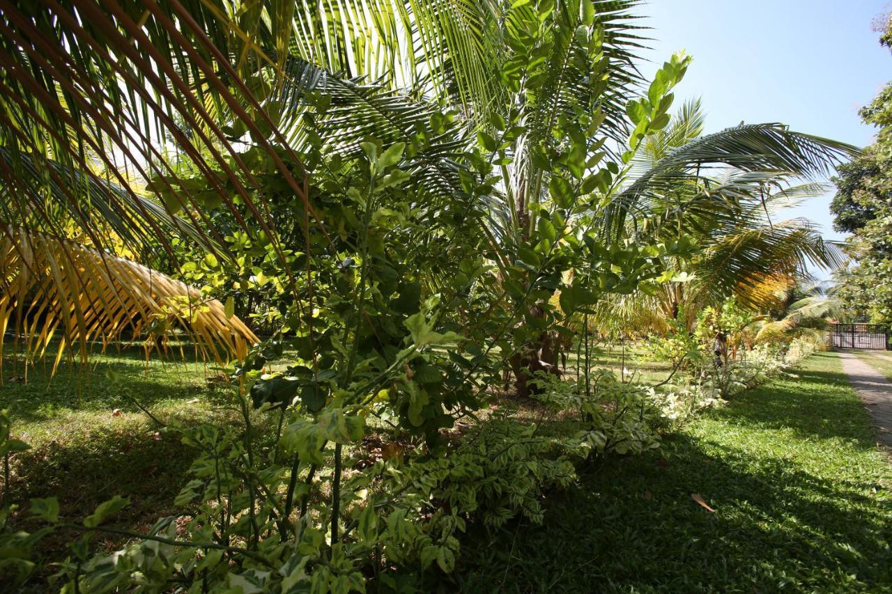 Negombovilla Extérieur photo