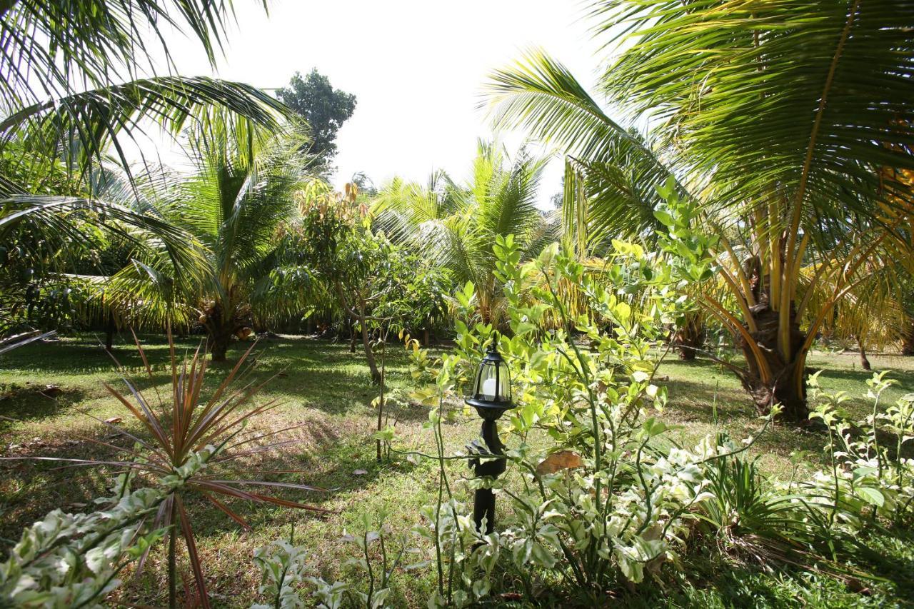 Negombovilla Extérieur photo